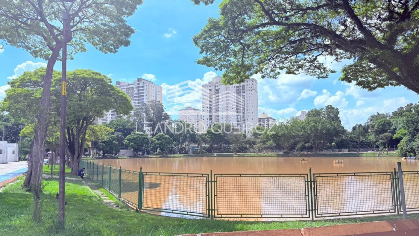 imagem-miniatura