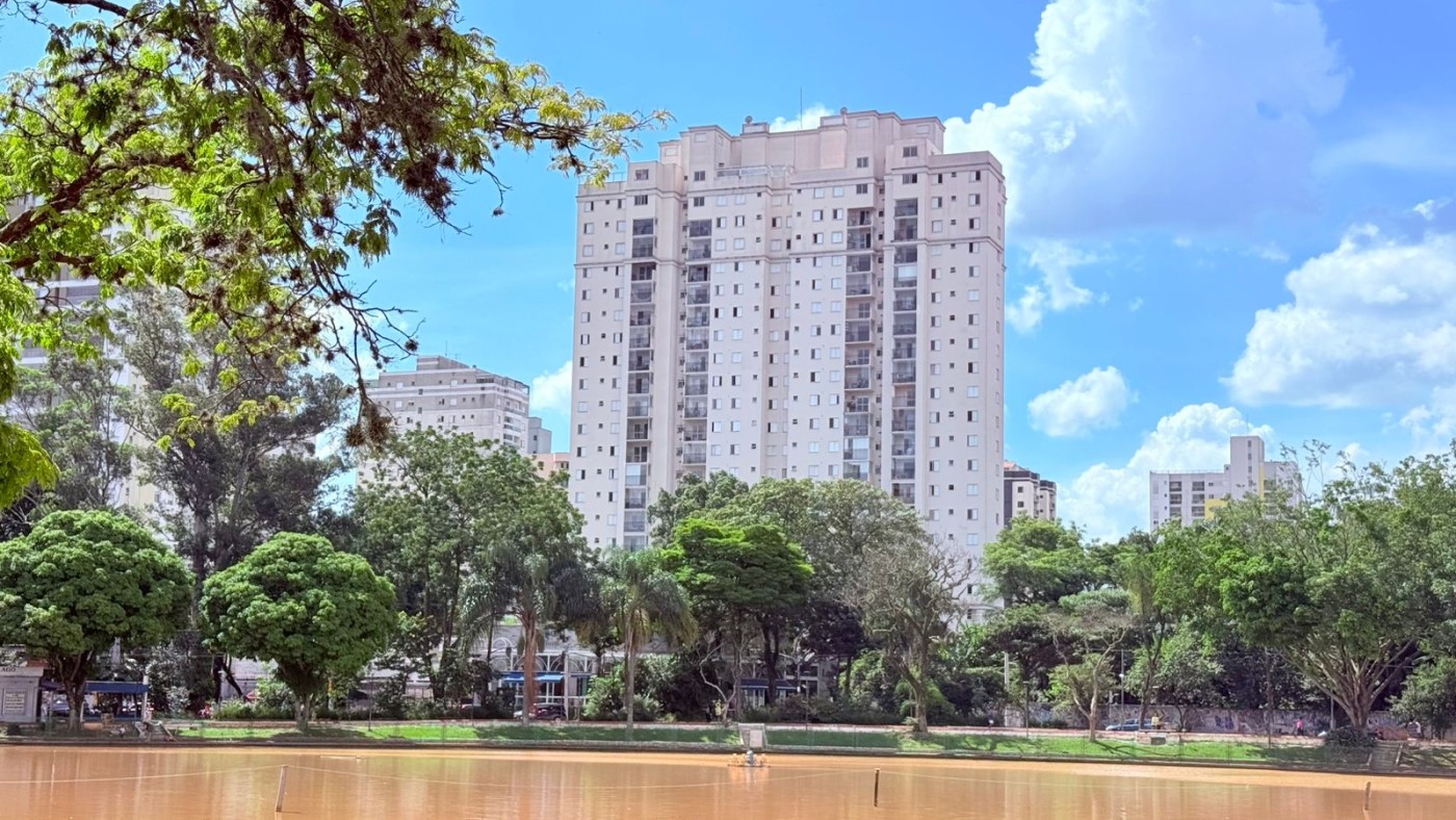 imagem-miniatura